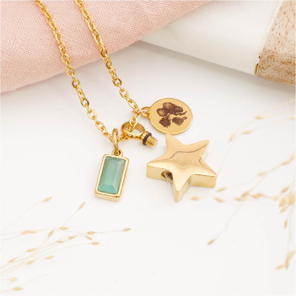 Paw print necklace gold with star urn and birthstone charm on a light background