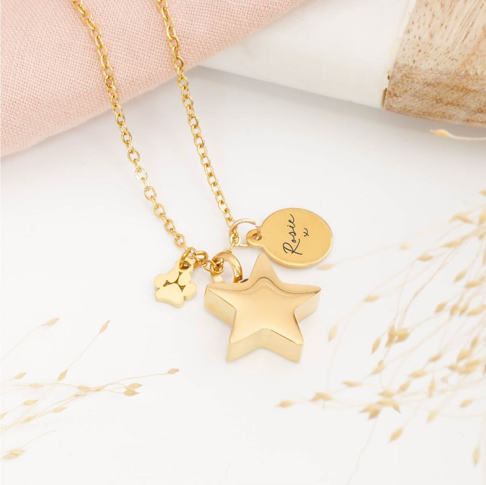 Personalised star Pet cremation necklace – memorial jewellery for pet ashes, sympathy gift for pet loss